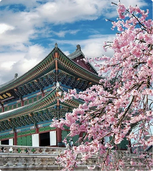 bg_image