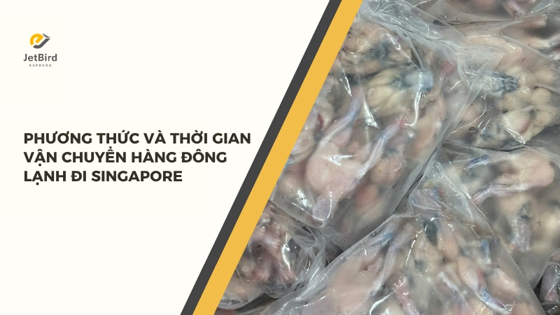 Phương thức và thời gian vận chuyển hàng đông lạnh đi Singapore tại Jetbird Express