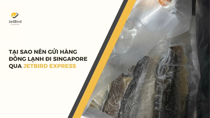 Lý do chọn Jetbird Express để gửi hàng đông lạnh đi Singapore