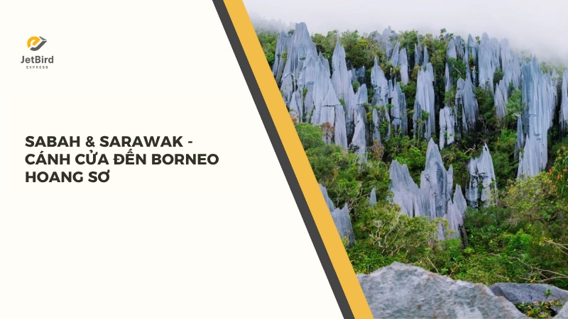 Sabah và Sarawak là hai bang có diện tích lớn nhất Malaysia