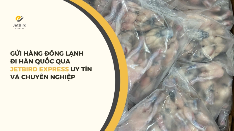 Dịch vụ gửi hàng đông lạnh đi Hàn Quốc uy tín, chuyên nghiệp tại Jetbird Express