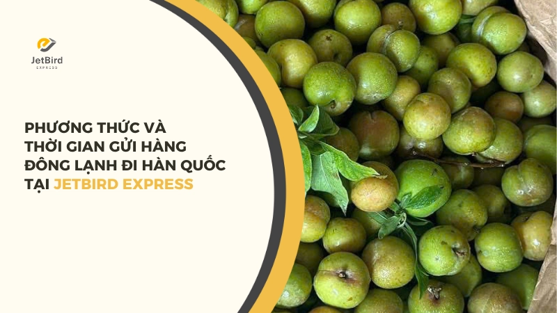 Phương thức và thời gian gửi hàng đông lạnh đi Hàn Quốc tại Jetbird Express