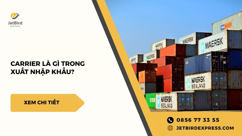 Carrier Là Gì? Phân Loại Và Vai Trò Của Hãng Vận Chuyển