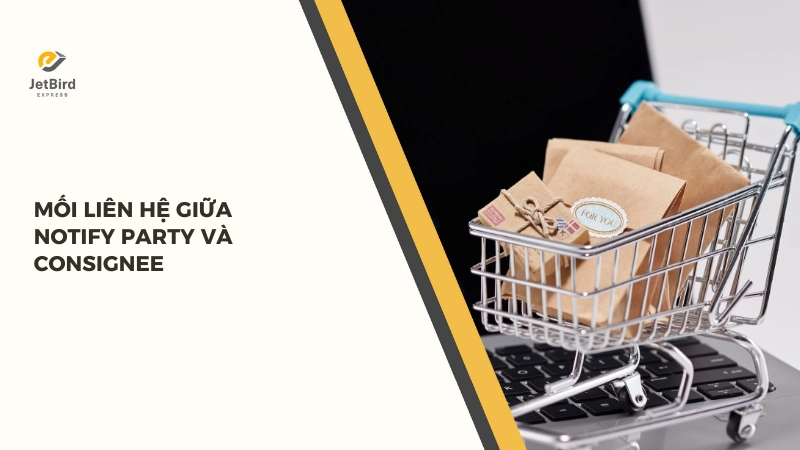 Vận đơn thường có thêm một ô thông tin là Notify Party