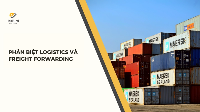 Cả Logistics và Freight Forwarding đều đóng vai trò quan trọng trong chuỗi cung ứng toàn câu