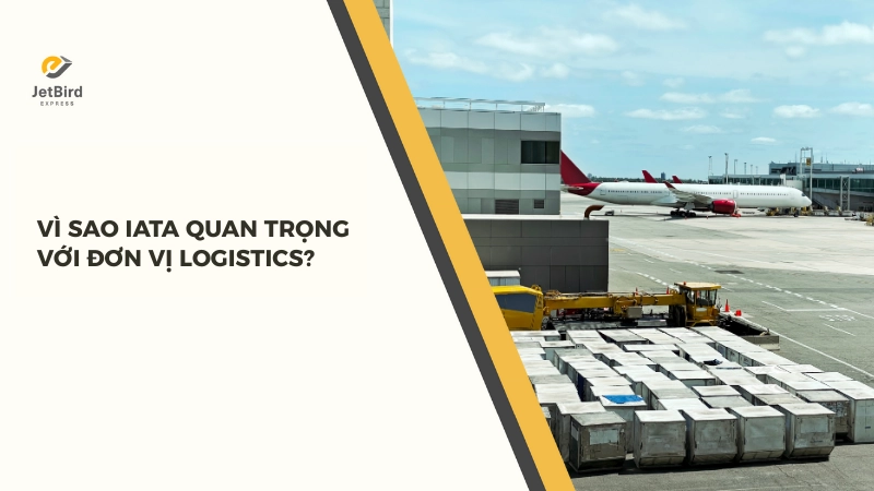 IATA giúp đơn vị đảm bảo được tính an toàn và độ hiệu quả