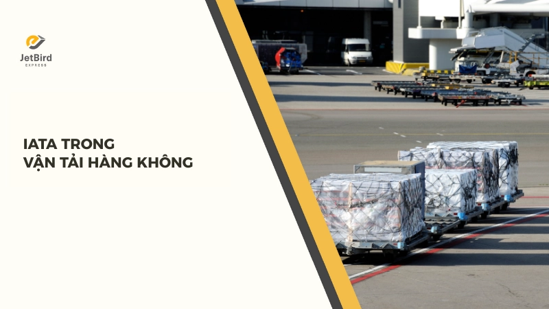 Vai trò của IATA trong vận tải hàng không quốc tế