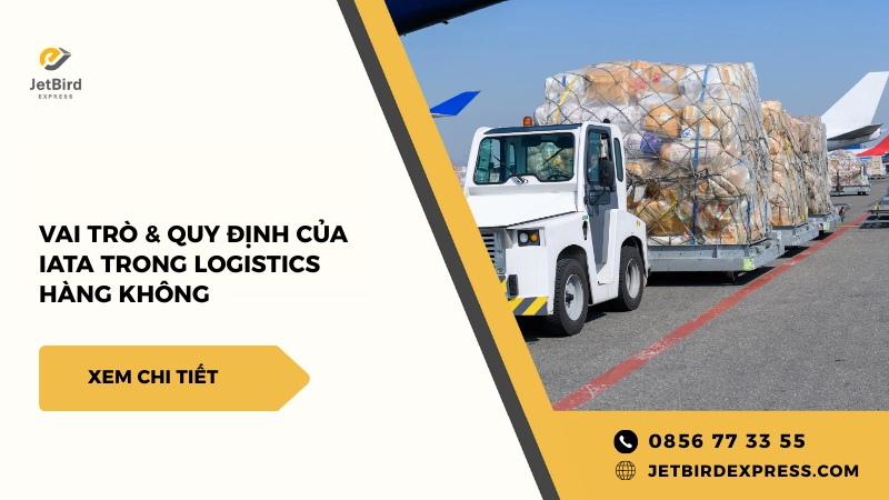 IATA Là Gì? Vai Trò & Quy Định Của IATA Trong Logistics Hàng Không