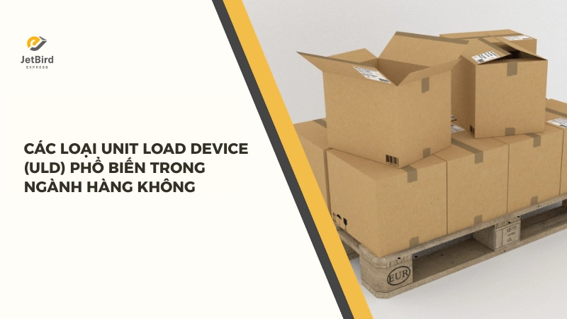 Thị trường có rất nhiều mẫu mã và kiểu cách ULD