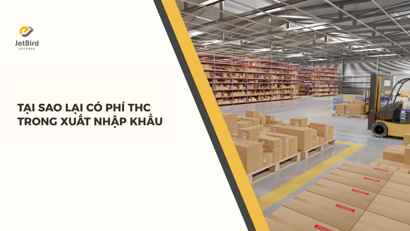 Lý do chính khiến phí THC được áp dụng rộng rãi trong xuất nhập khẩu