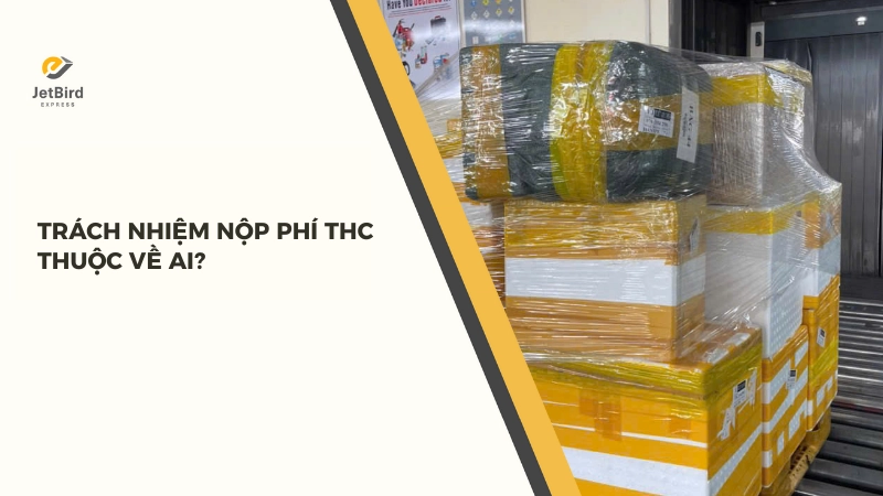 Hãng tàu là đơn vị trực tiếp thu phí THC cùng các phụ phí khác